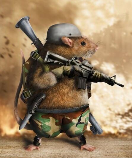 \