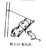 \